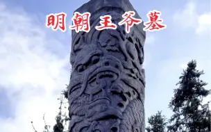 Download Video: 野外发现500年前的王爷墓！规模庞大，可惜被盗了。