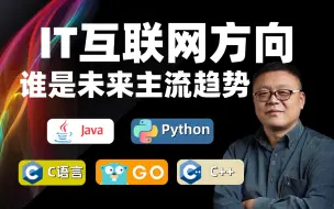 Download Video: 未来3-5年IT互联网方向深度解析，Java/GO谁才是未来主流趋势？马士兵一个视频给你讲明白，应对程序员就业瓶颈