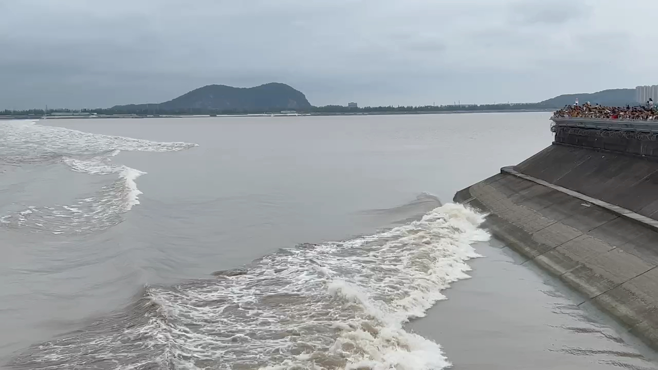 [图]今日八月既望的钱塘大潮，惜近代围海造田日胜，潮势早已不古