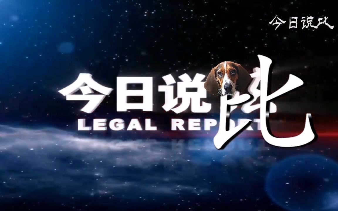 @比格犬受害者联盟 经典回顾系列:《今日说比——菌菇汤事件》哔哩哔哩bilibili