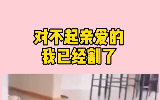 [图]对不起亲爱的，我已经割了