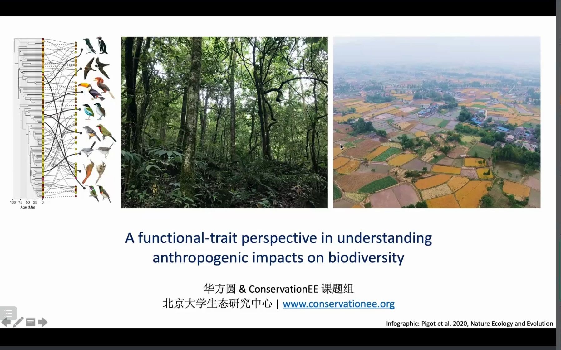 [图]北京大学华方圆研究员-从功能性状的角度理解人类活动对生物多样性的影响