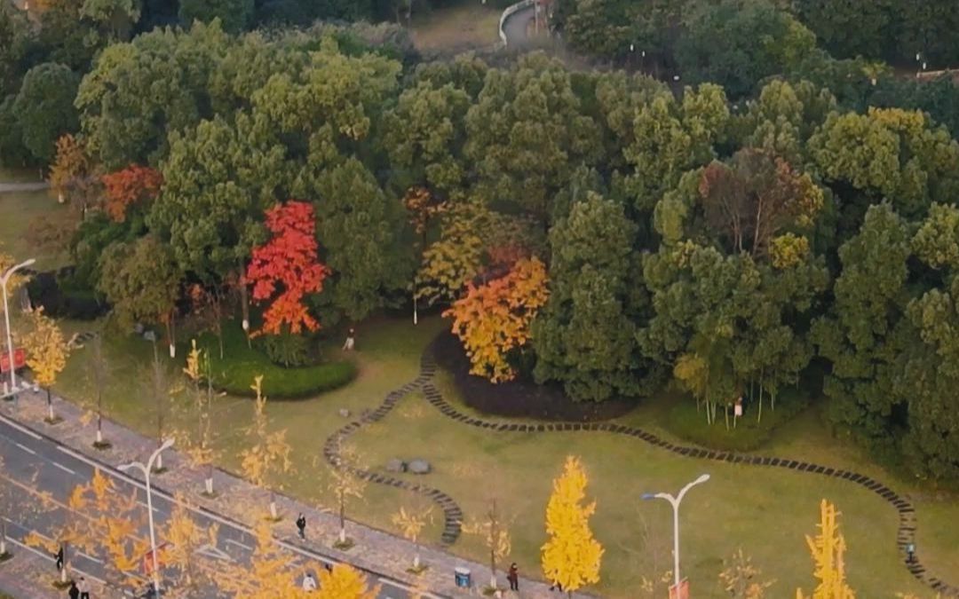 [图]重庆大学《秋之恋》