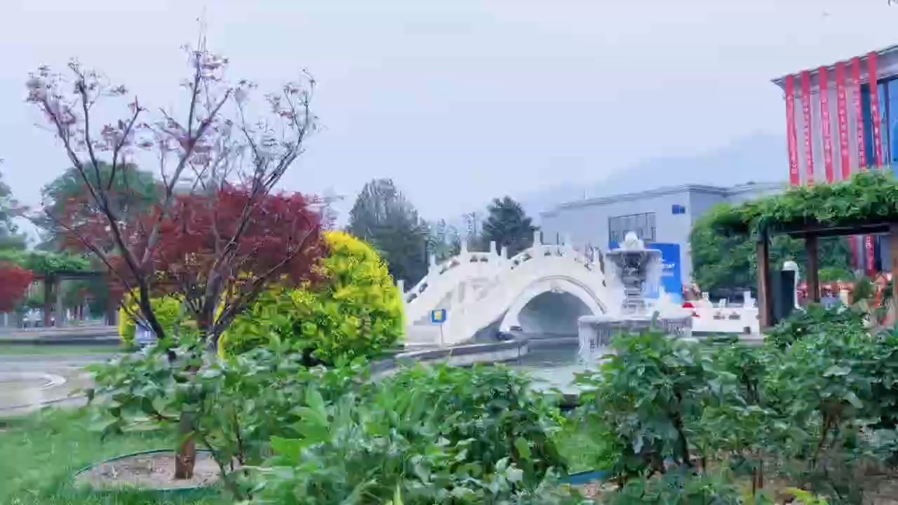 海淀驾校美到离谱🌳