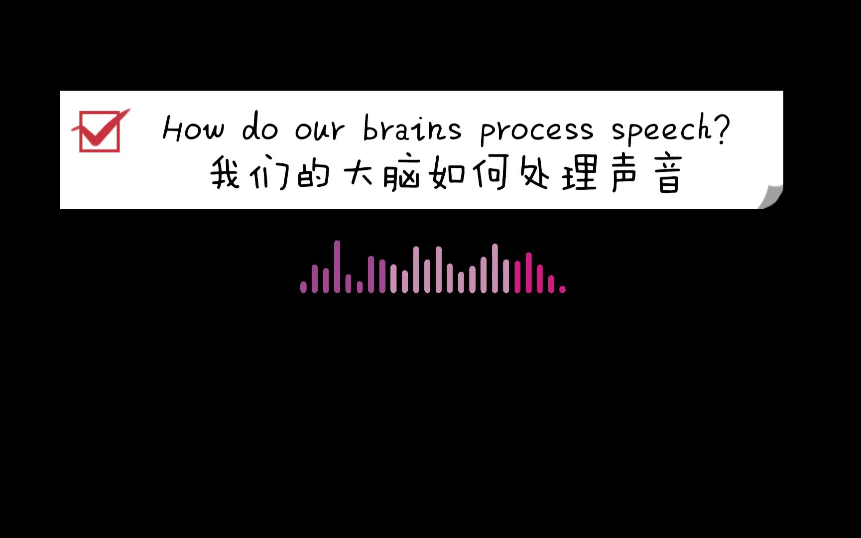 我们的大脑如何处理声音英文科普哔哩哔哩bilibili