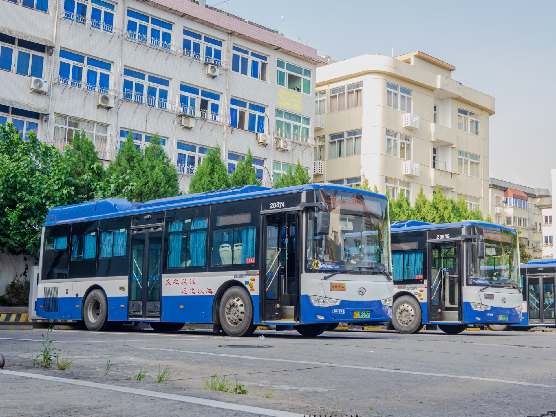 温州大烂俗d511永中出场