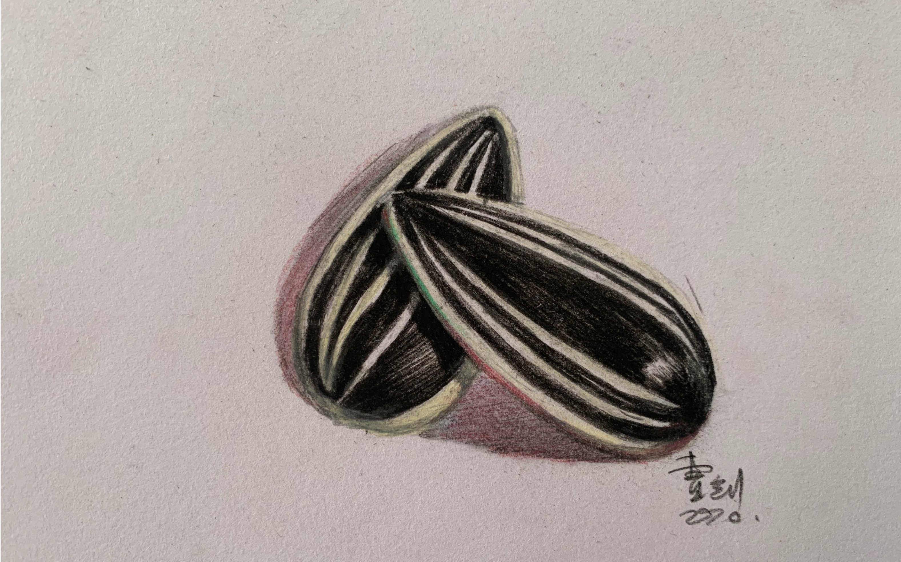 写实彩铅教程,手绘向日葵瓜子,太逼真了