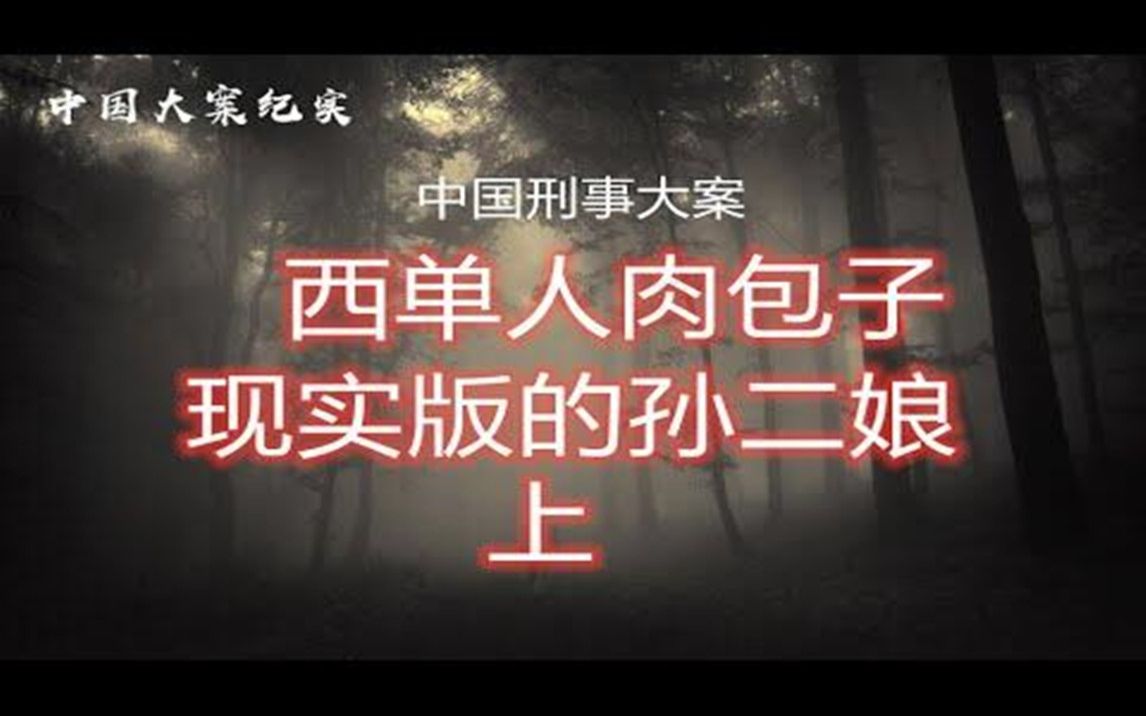 《中国刑事大案》西单人肉包子 现实版孙二娘