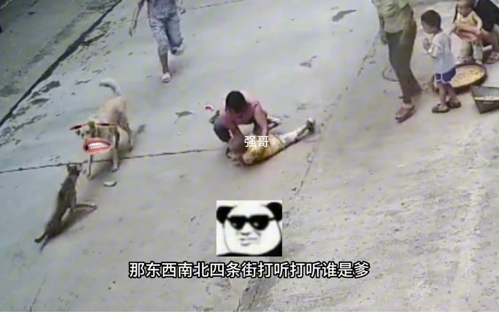 疯狗冲上前攻击小孩，家犬立即扑向疯狗勇猛救主！-强哥゜-强哥゜-哔哩哔哩视频