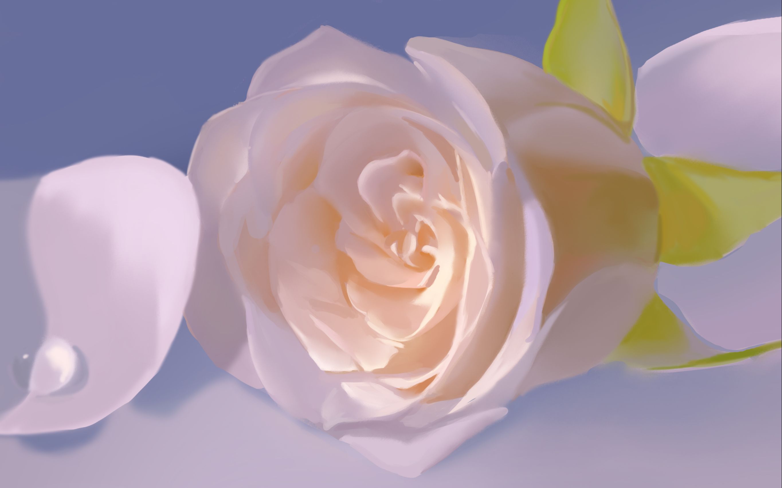 【板绘厚涂】1000倍速画一朵娇嫩的白玫瑰!_哔哩哔哩_bilibili