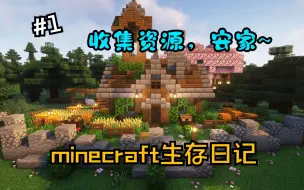 Download Video: 【Minecraft生存日记】收集资源，安家啦~ #1