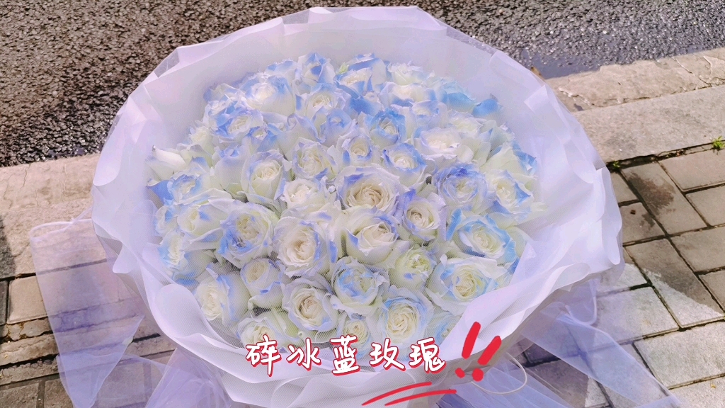 碎冰蓝玫瑰花哔哩哔哩bilibili