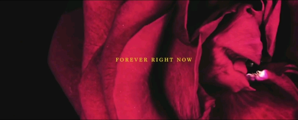 [图]Conor Matthews - Forever Right Now(Music Video)