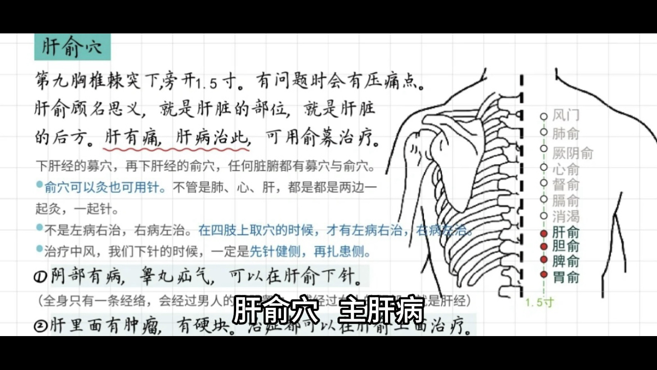 足太阳膀胱经(3)