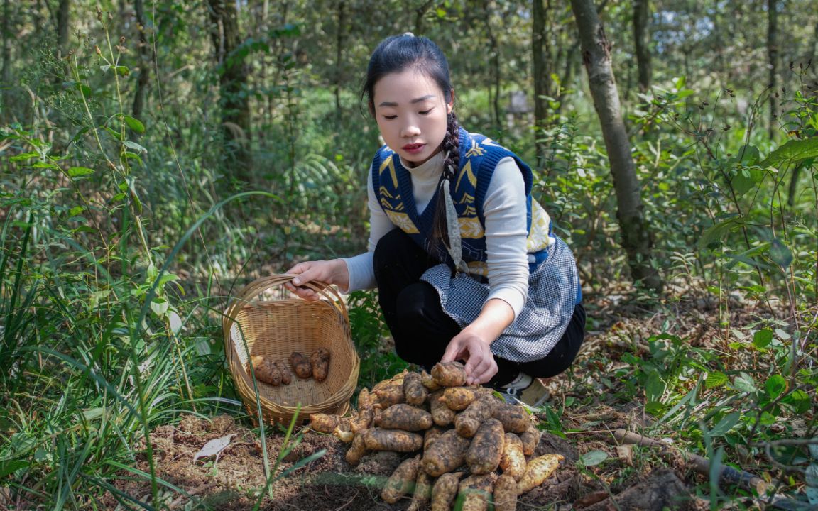 长得像虫子一样的食材,用一个小方法把它保存起来,美食药用两不误(乌天麻)哔哩哔哩bilibili