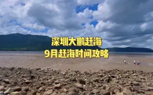 Download Video: 深圳大鹏赶海9月赶海时间攻略