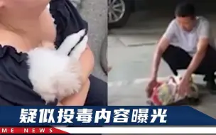 Télécharger la video: 贵州一小区多条宠物狗中毒死亡，业主：骨头毒性很大，舔舔就要命