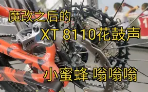 Télécharger la video: 【小z】魔改之后的XT 8110花鼓声音 小蜜蜂嗡嗡嗡