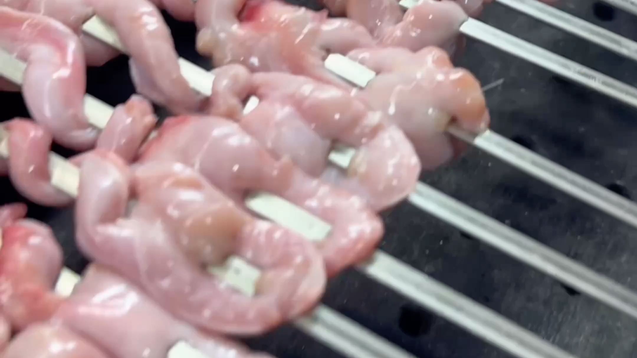 枪林弹雨之羊蛋头 #羊蛋头 #哈尔滨解恨炭烤大串 #哈尔滨烧烤