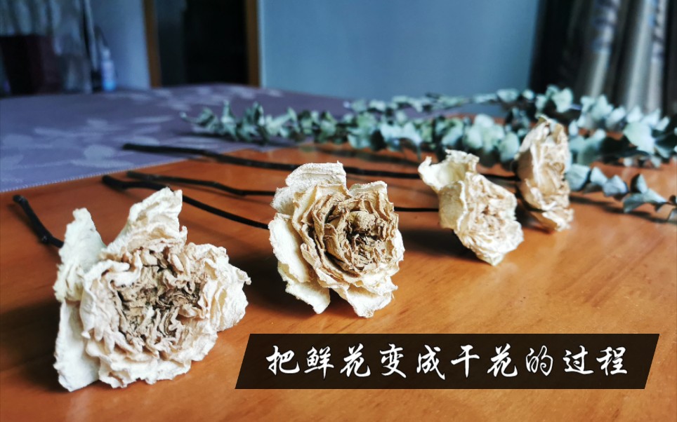 变废为宝|把鲜花变成干花制作过程|生活小妙招干花教程哔哩哔哩bilibili