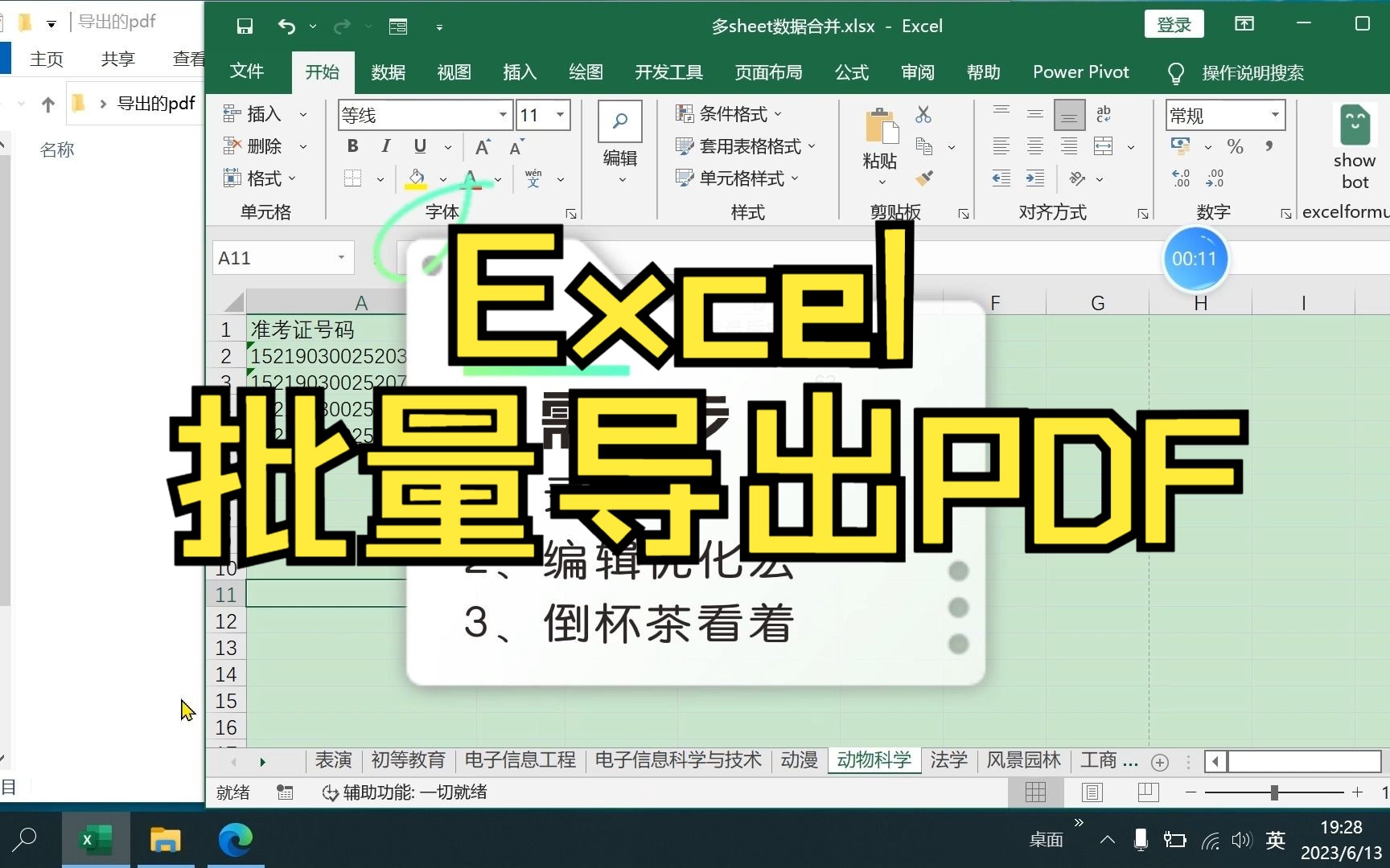 【详细】一学就会 excel批量导出PDF,Excel VBA也可以这么简单哔哩哔哩bilibili