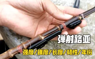 Download Video: 用竹子做一根弹射路亚竿的5个要素，强度，锥度，长度，韧性，年份，缺一不可！