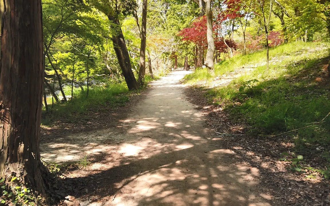 【助眠】自然的聲音 清靜小山路雨聲|3小時播放|放鬆 減壓 集中注意力