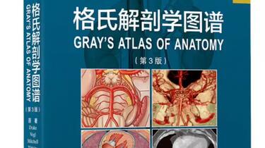 高清PDF 格氏解剖学图谱第3版中英双语_哔哩哔哩_bilibili