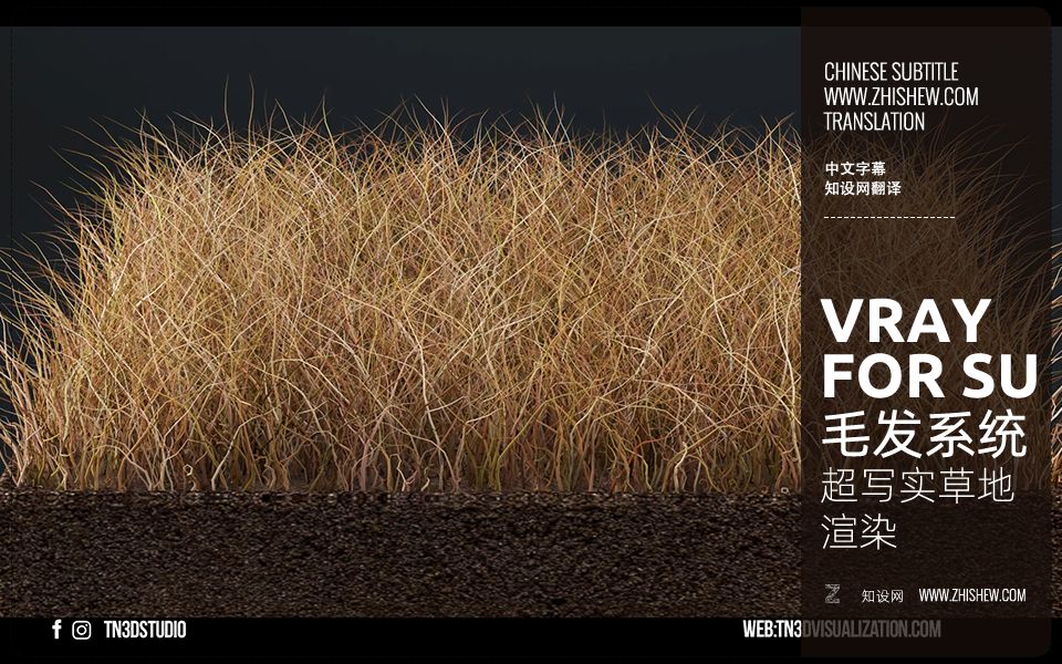 第55期Vray for Su 毛发系统超写实草地渲染哔哩哔哩bilibili