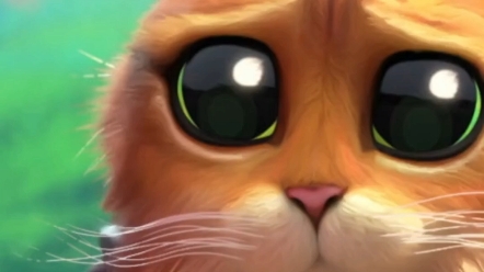 《穿靴子的猫》里的带星空的眼睛是真的,太可爱了小猫咪,心都融化了