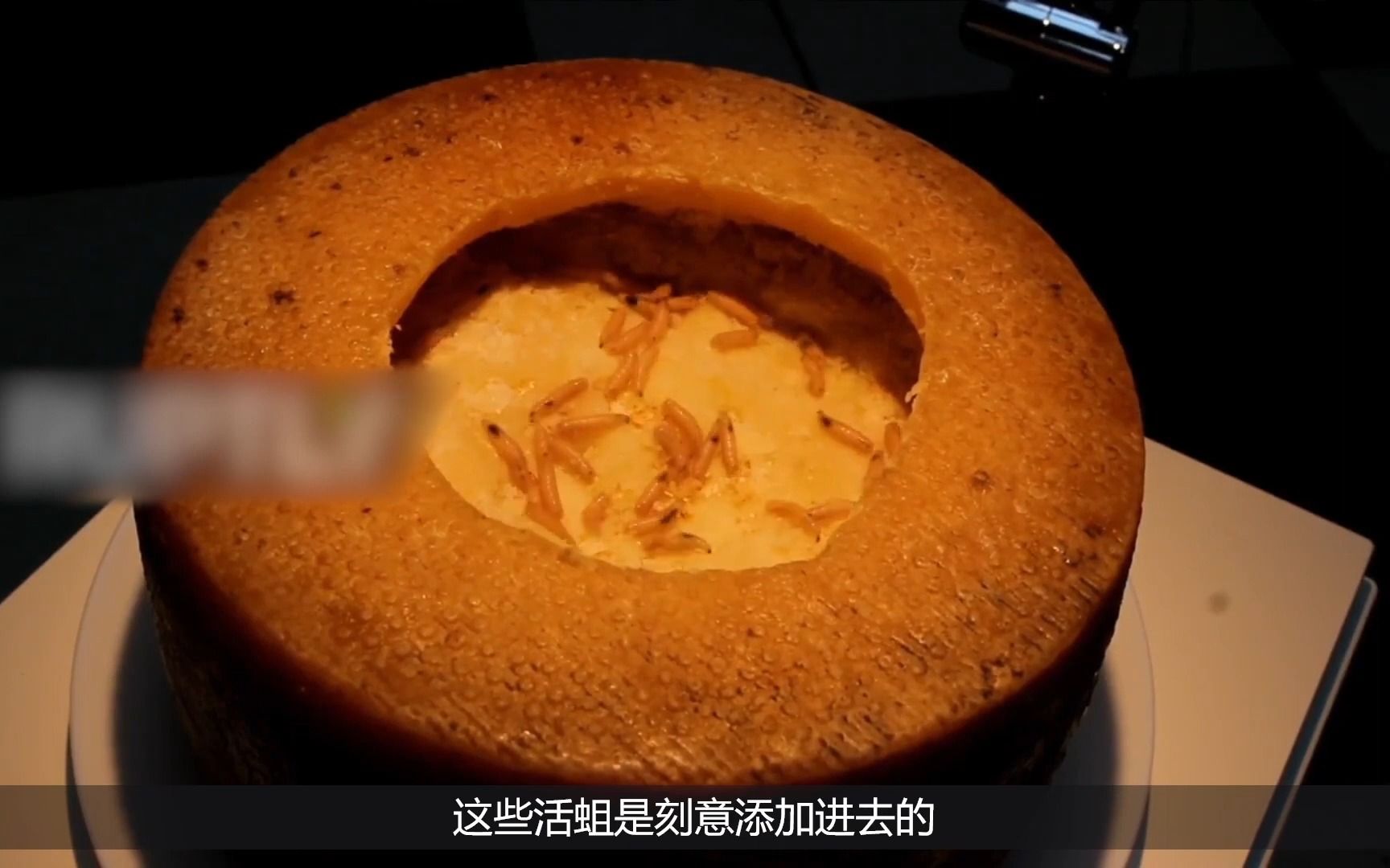 世上最恶心的5种食物,活蛆奶酪,尿味果蝠,你敢吃吗?