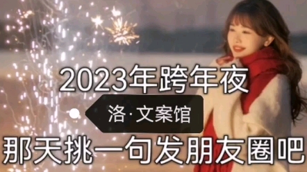 2023年跨年夜那天,挑一句发朋友圈吧(禁盗图,文案可取)哔哩哔哩bilibili