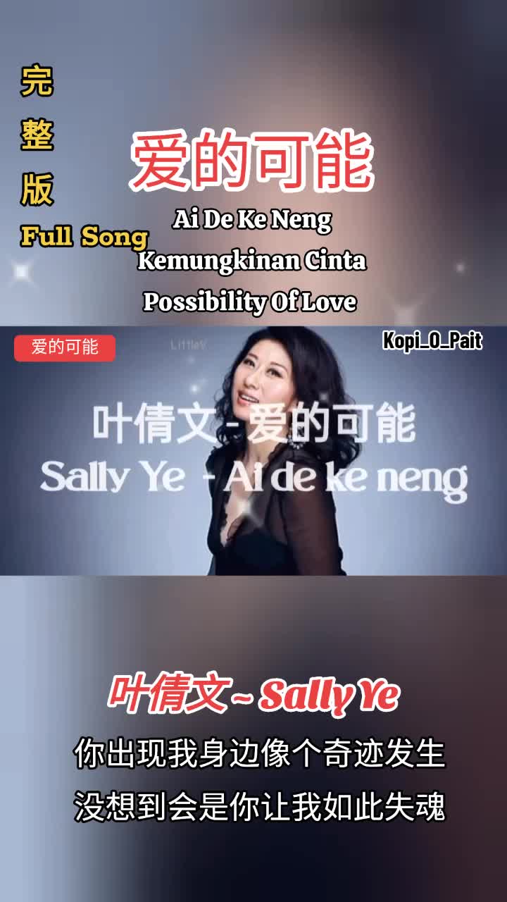 叶倩文 sally ye 爱的可能 ai de ke neng kemungkinan cinta