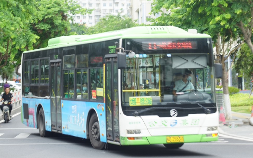 金旅油电混动云乘车vlog厦门公交集团11路xml6125jheva8c行车片段