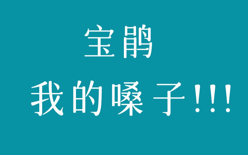 抱歉了各位,今天视频停更,原因就是:宝鹃,我的嗓子啊!