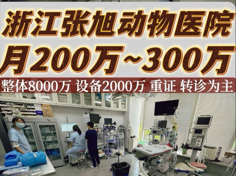 浙江张旭动物医院 月200万~300万哔哩哔哩bilibili