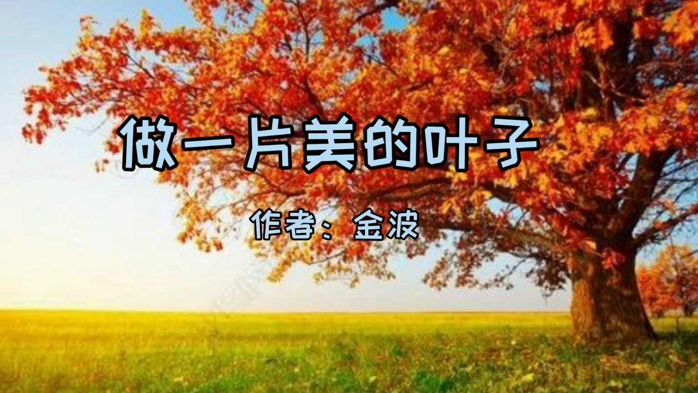 《做一片美的叶子》哔哩哔哩bilibili