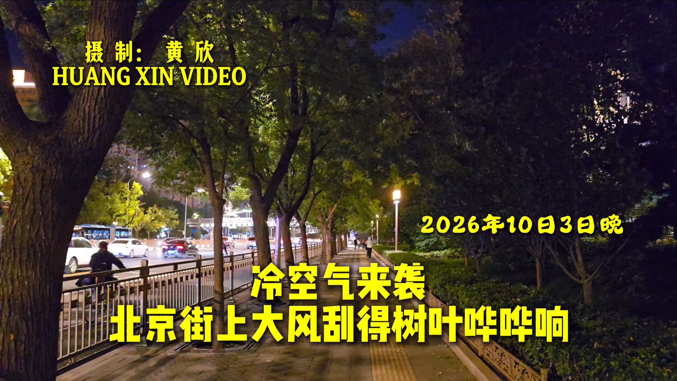 冷空气来袭，北京九级大风吹得树叶哗哗作响