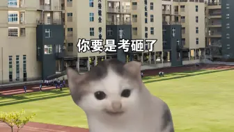 我这一生如履薄冰
