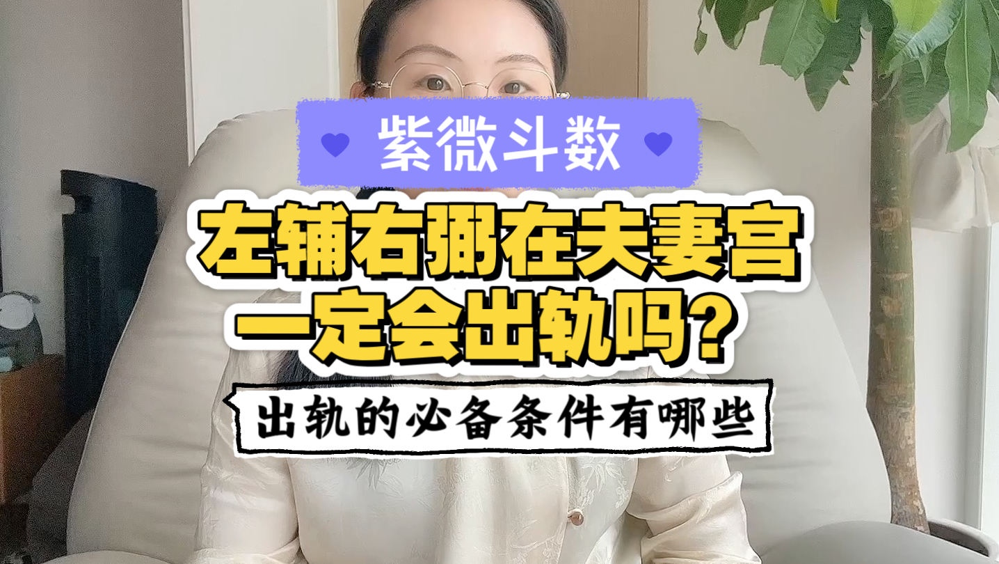 左辅右弼在夫妻宫