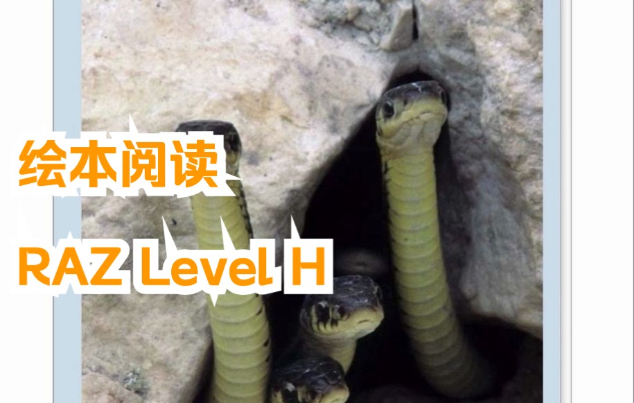 [图]绘本阅读-RAZ-LEVEL-H-02-What Lives in This Hole