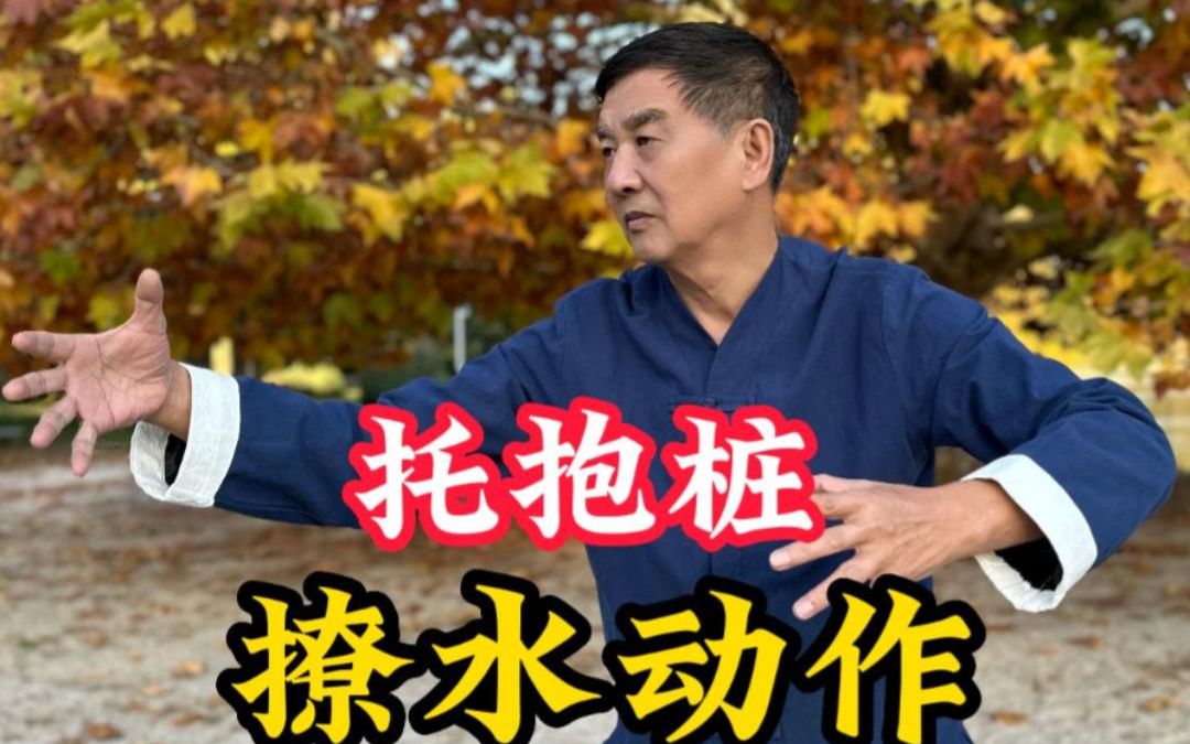 托抱桩之撩水动作哔哩哔哩bilibili