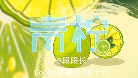 抖音神曲 青柠徐秉龙 桃十五高音质动态歌词版 哔哩哔哩 つロ干杯 Bilibili