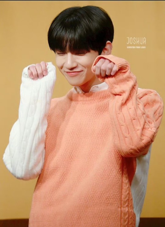 【joshua/洪知秀】这一段看一次爱一次