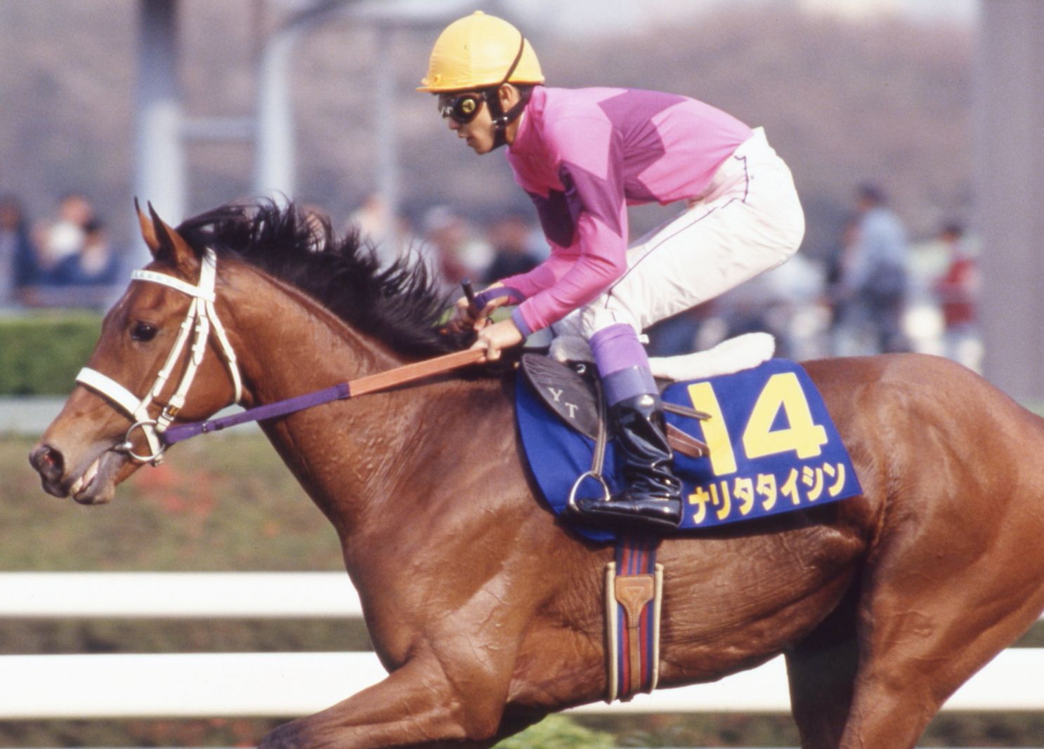 【自译渣翻】20世纪的名马 第89位 成田大进 ナリタタイシン