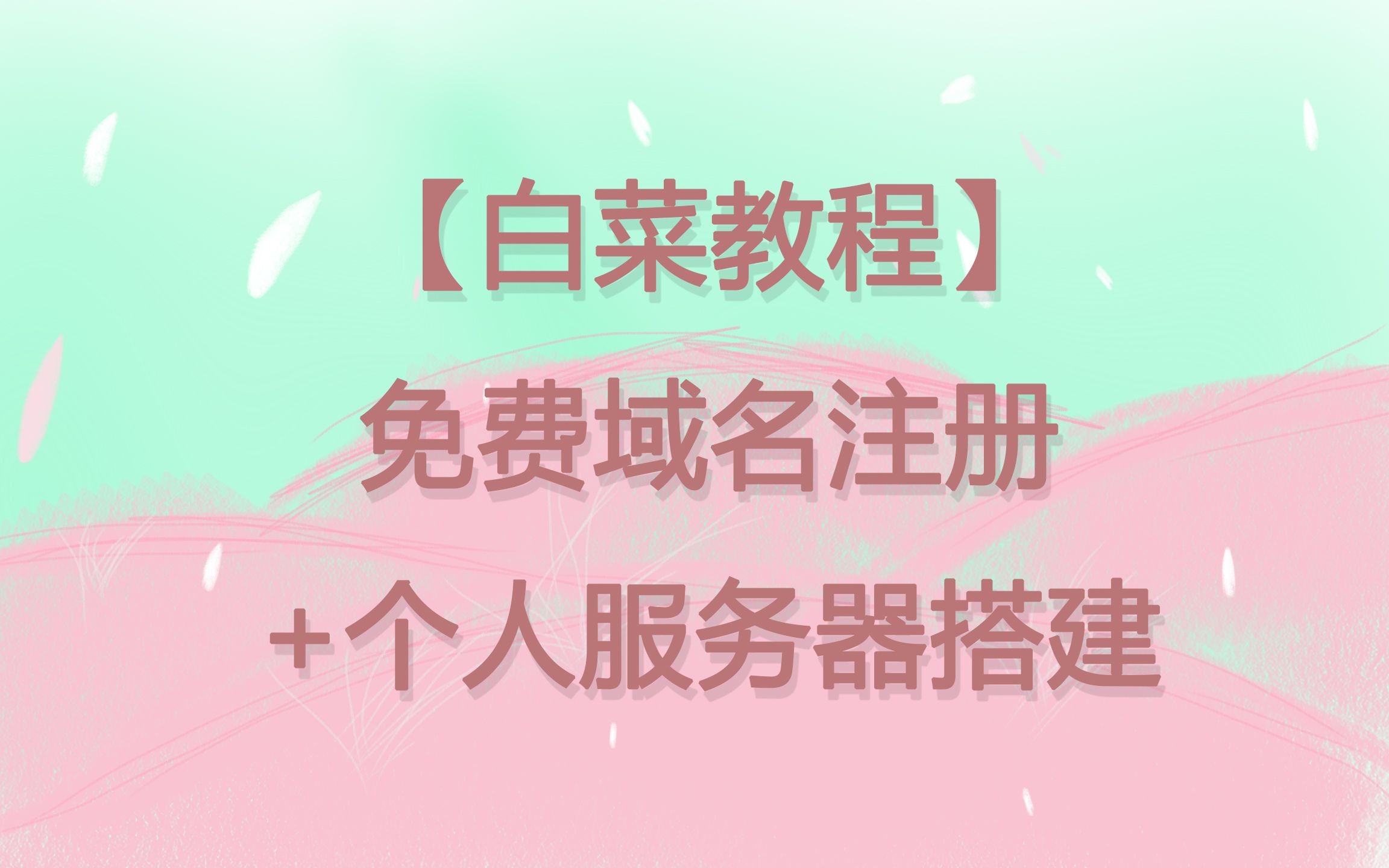 【白菜教程】免费域名注册+个人服务器搭建 (不要钱!让所有人都可以看到你的网站)