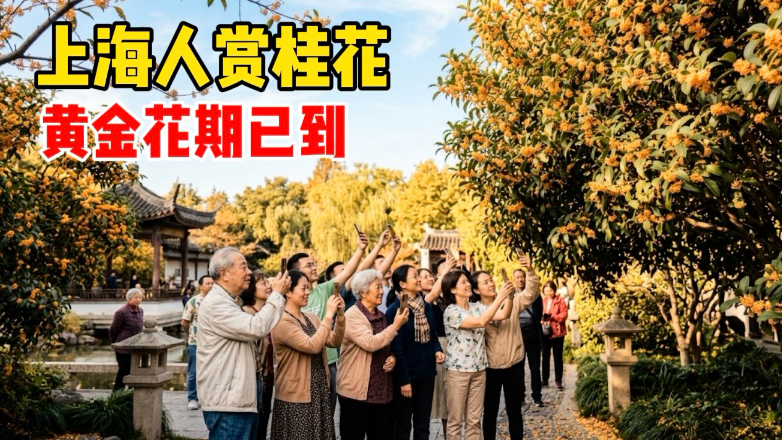 满城桂花香！上海桂花开放，吃老字号桂花糕，谈谈申城赏桂十大去处