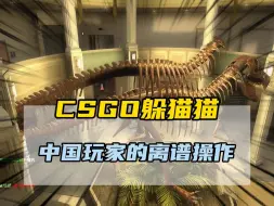 Download Video: CSGO躲猫猫之中国玩家的离谱操作