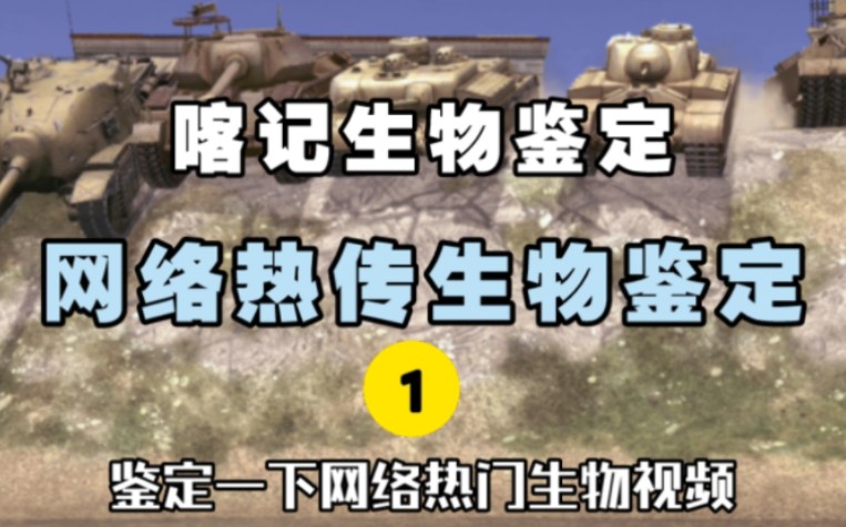 【WOTB】网 络 热 传 生 物 鉴 定哔哩哔哩bilibili