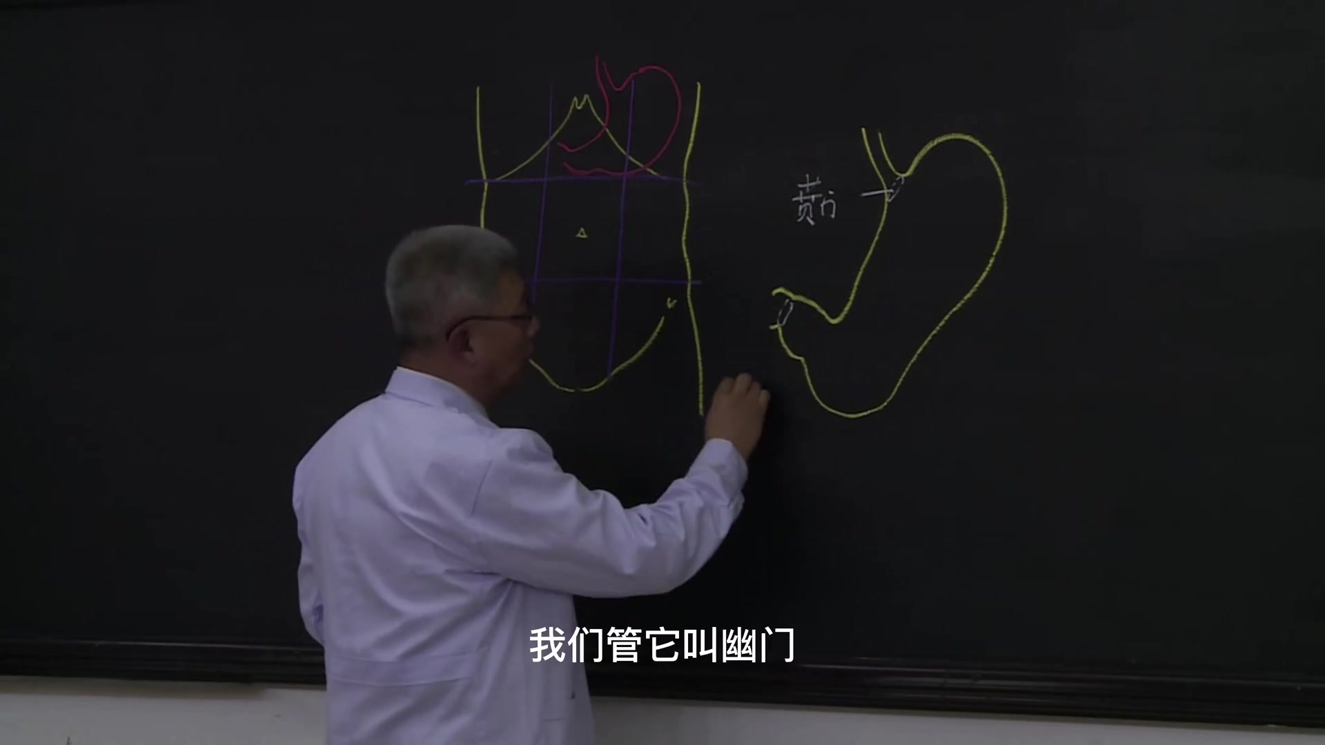 [图]【人体解剖学】【系统解剖学】霍琨老师手绘解剖学视频（带字幕版）第二章-消化系统